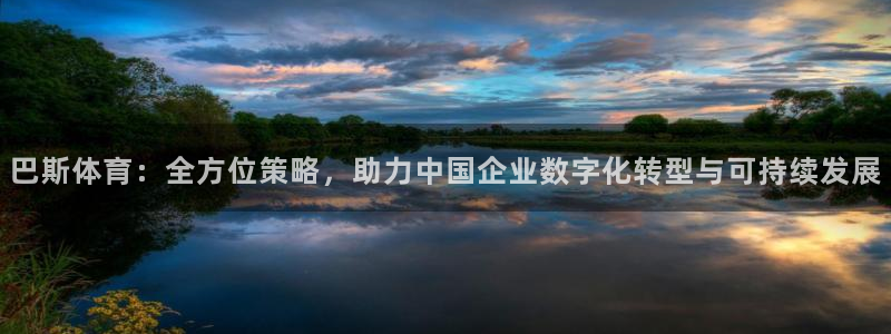 必一体育登录APP下