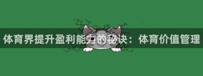 必一体育是啥：体育界提升盈利能力的秘诀：体育价值管理