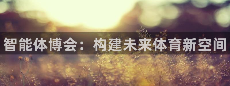 必一体育在线入口：智