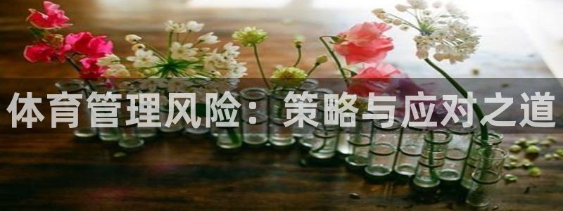 必一体育app下载最