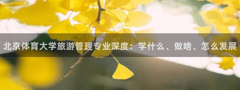 必一体育官网网址：北