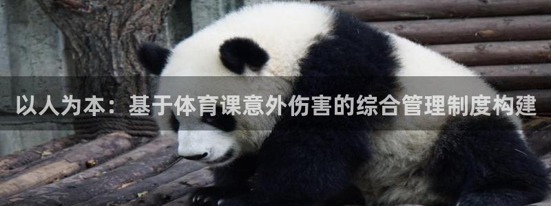 必一体育运动下载：以