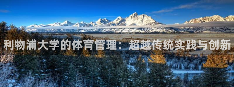 必一体育官方网站入口