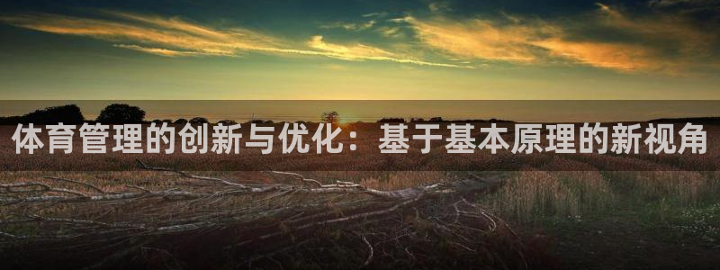 必一体育官网网址：体育管理的创新与优化：基于基本原理的新视角