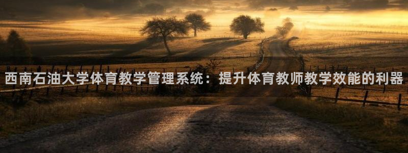 必一体育平台：西南石