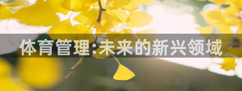 必一体育合法吗：体育