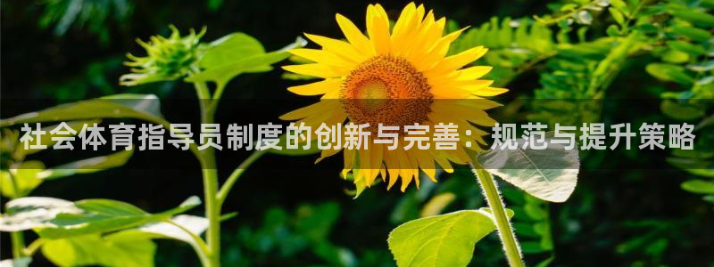 必一运动体育：社会体