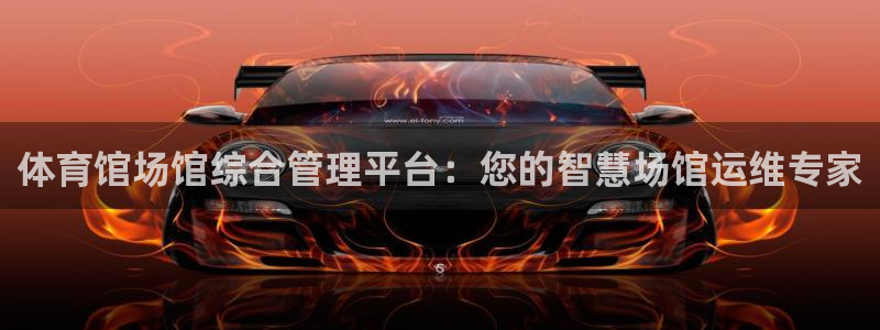 必一体育官网网址：体育馆场馆综合管理平台：您的智慧场馆运维专