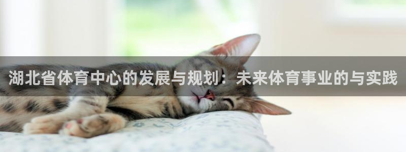 必一体育游戏特色：湖